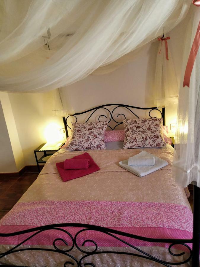 Apartamento Entero "El Casco Antiguo" Vt-46811-V Xàtiva Esterno foto