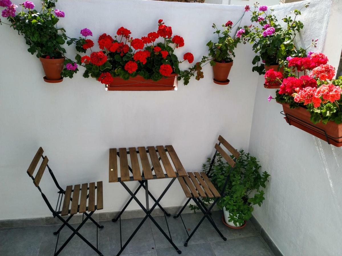 Apartamento Entero "El Casco Antiguo" Vt-46811-V Xàtiva Esterno foto